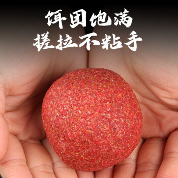 龍魚視頻大全視頻大全集（龍魚視頻大全集為潛在和現有的龍魚飼養常見誤區）