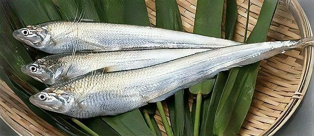 河刀魚多少一斤