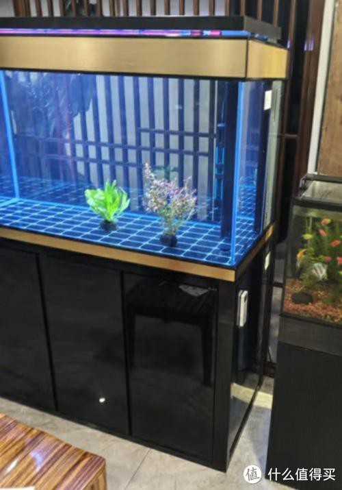 龍魚缸擺放位置圖片