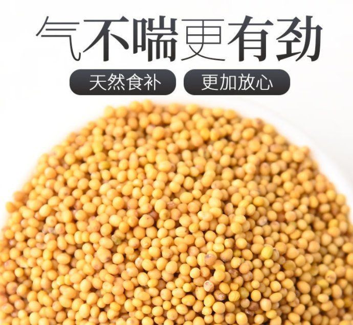 紅芥子好還是黃芥子好