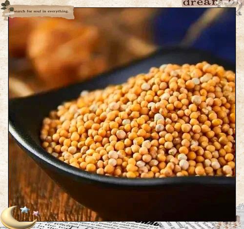 紅芥子好還是黃芥子好