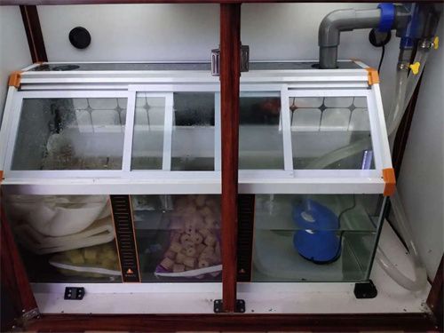底濾魚缸的工作原理是什么：底濾魚缸是一種常見的魚缸過濾系統是一種常見的過濾系統