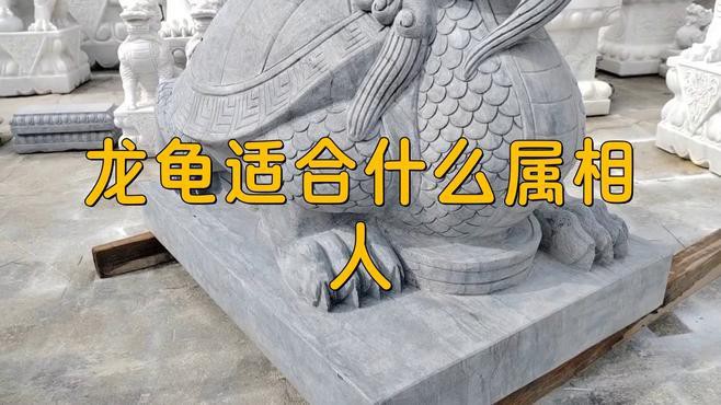 龍龜手鏈適合哪些生肖佩戴？