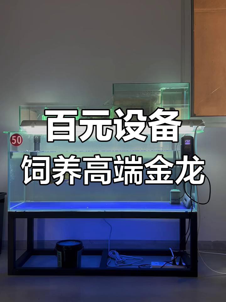 龍魚(yú)養(yǎng)殖需要哪些專業(yè)設(shè)備？