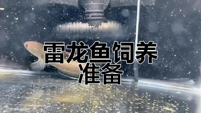 龍魚(yú)養(yǎng)殖需要哪些專業(yè)設(shè)備？