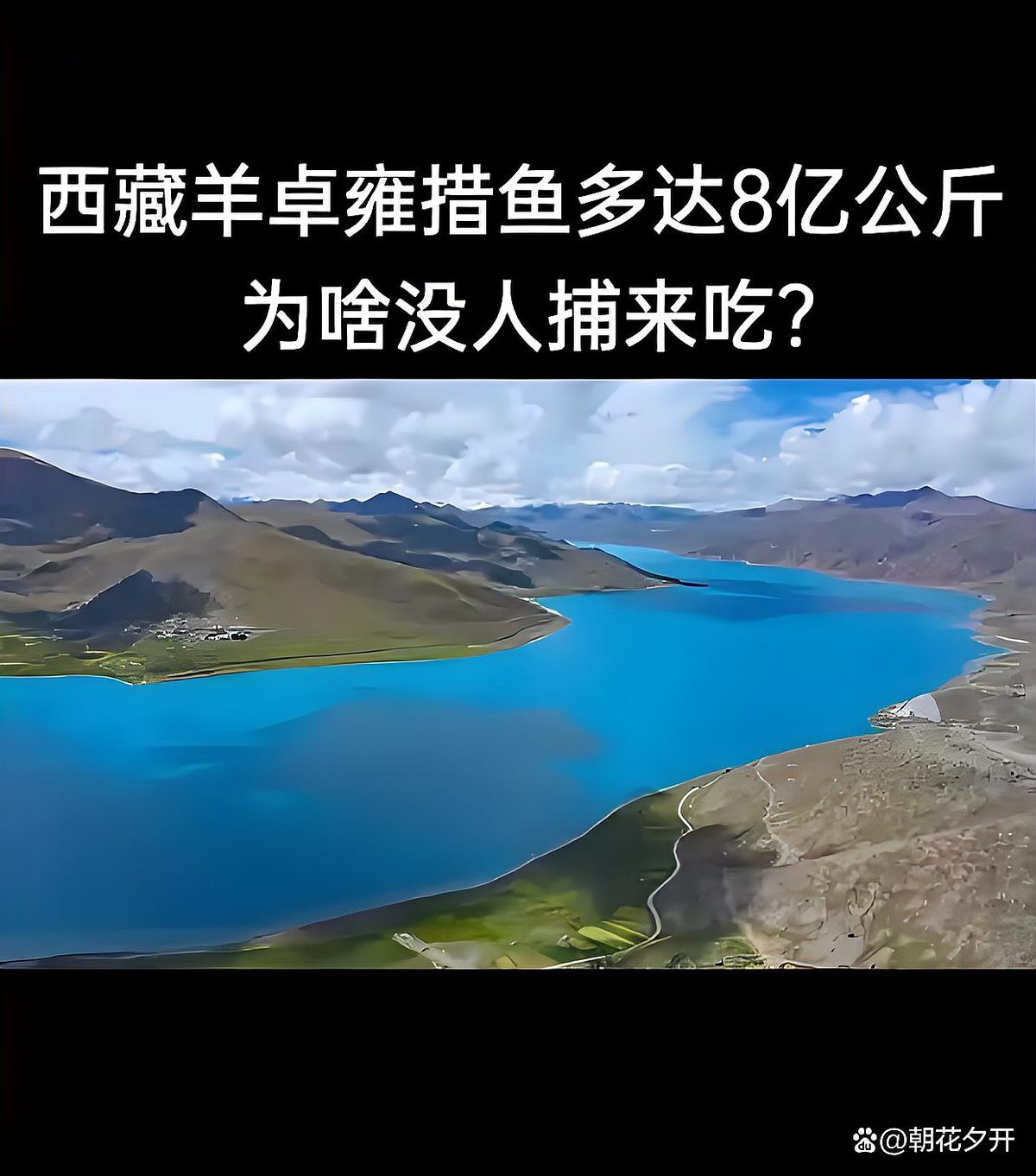 佛教中不允許吃魚籽的原因