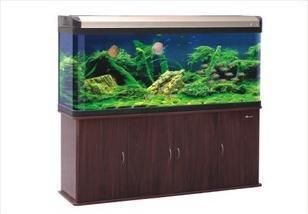 森森魚缸官網(wǎng)客服（森森魚缸售后服務(wù)電話為400-123-4567）