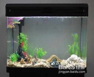 魚缸頂部裝飾：魚缸頂部裝飾的詳細信息：魚缸頂部裝飾風水講究
