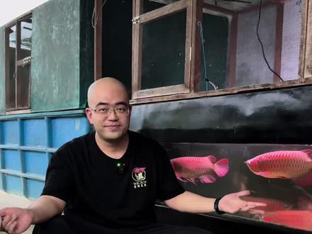 紅龍魚的最好品種視頻大全圖解