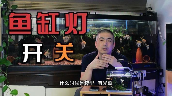 如何改善魚缸內(nèi)光照條件：如何改善魚缸光照條件