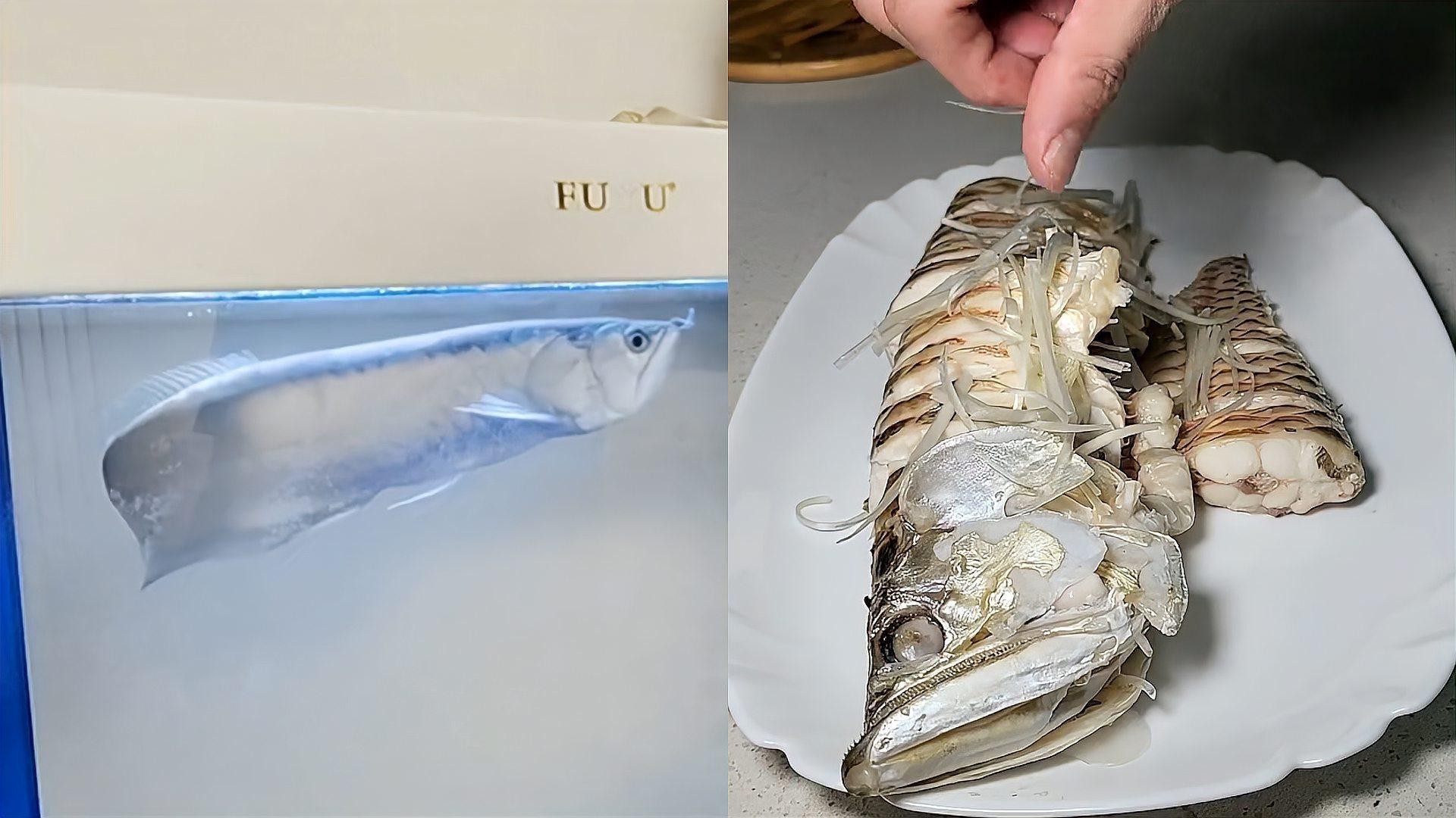 如何預防銀龍魚白膜病？