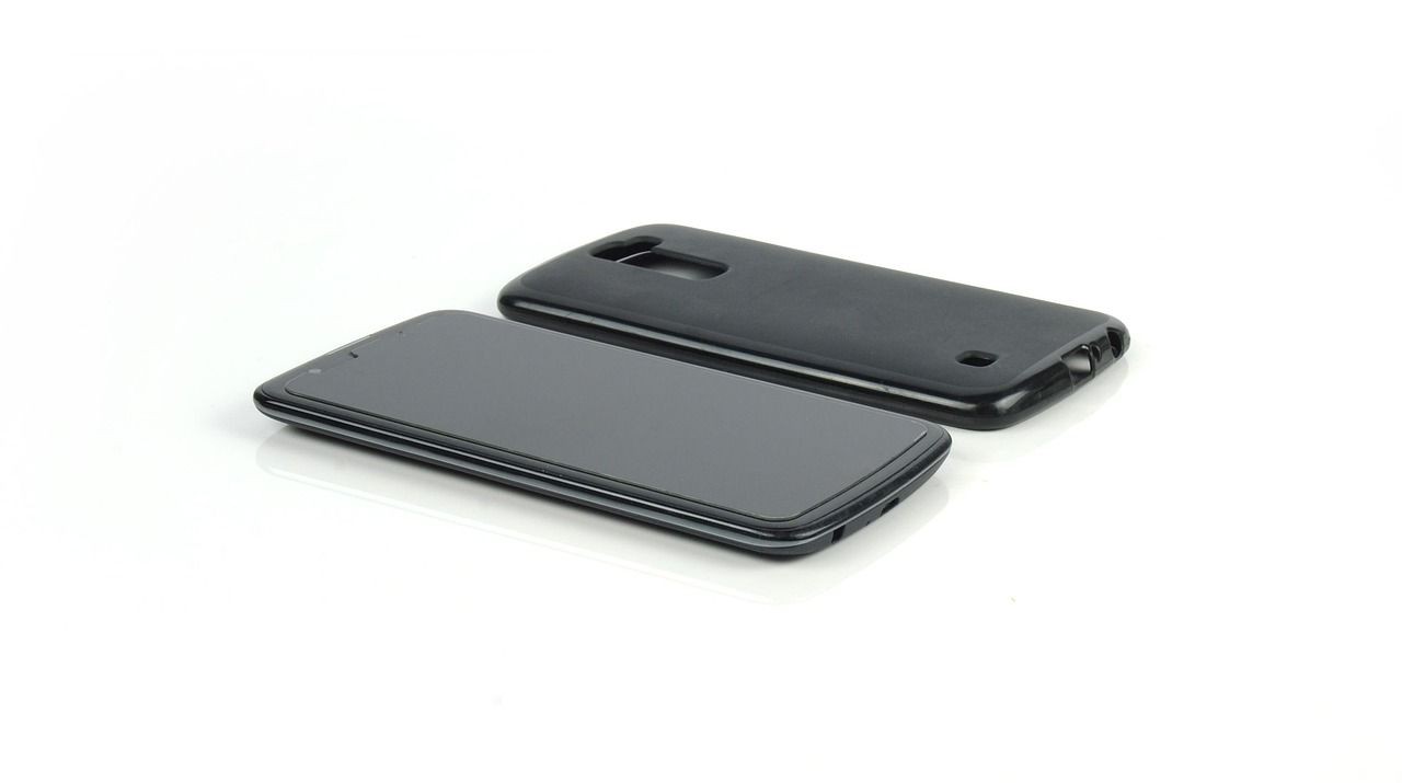 鐵嶺水族批發市場，淺析鐵嶺水族市場