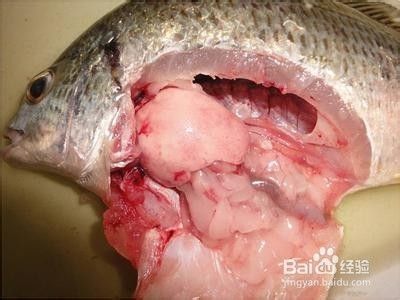 魚缸換水的水放幾天可以養(yǎng)魚 魚缸換水后多長時間可以放魚