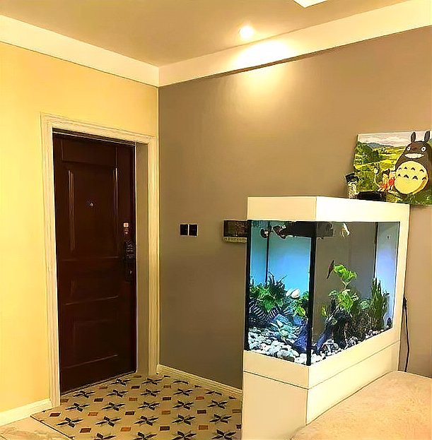 入戶門看見魚缸最吉利，入戶魚缸設計