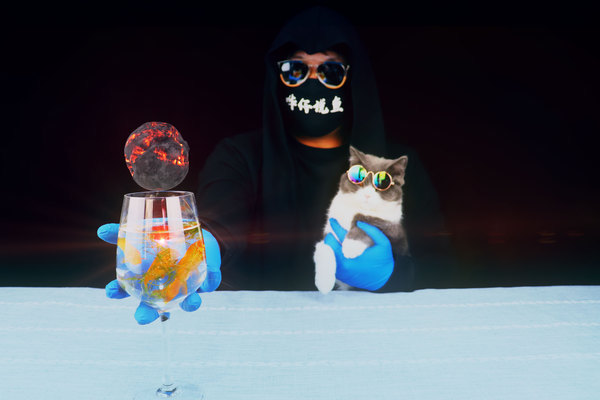 揭秘世界上最貴的龍魚，價格與珍稀品種全解析，（注，由于用戶未提供具體內容，此標題是基于常見龍魚相關話題的通用示例。若用戶提供具體內容，可生成更精準匹配的標題。），天價龍魚之謎，揭秘價值千萬的稀有品種與天價背后的真相，（請提供具體內容，我將為您定制專屬標題。）