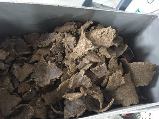 揭秘世界上最貴的龍魚，價格與珍稀品種全解析，（注，由于用戶未提供具體內容，此標題是基于常見龍魚相關話題的通用示例。若用戶提供具體內容，可生成更精準匹配的標題。），天價龍魚之謎，揭秘價值千萬的稀有品種與天價背后的真相，（請提供具體內容，我將為您定制專屬標題。）