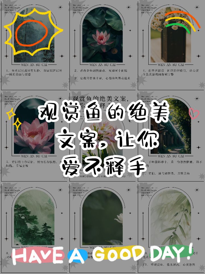 專門賣觀賞魚的app【水族世界的數(shù)字橋梁——主流觀賞魚交易平臺深度解析】