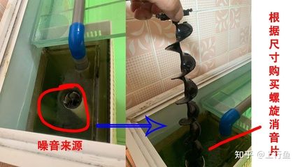 底濾魚缸溢流管噪音大的原因及解決方案：底濾魚缸溢流管噪音大怎么辦？