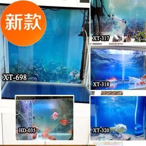養(yǎng)龍魚缸背景用什么顏色：養(yǎng)龍魚時缸背景顏色的選擇