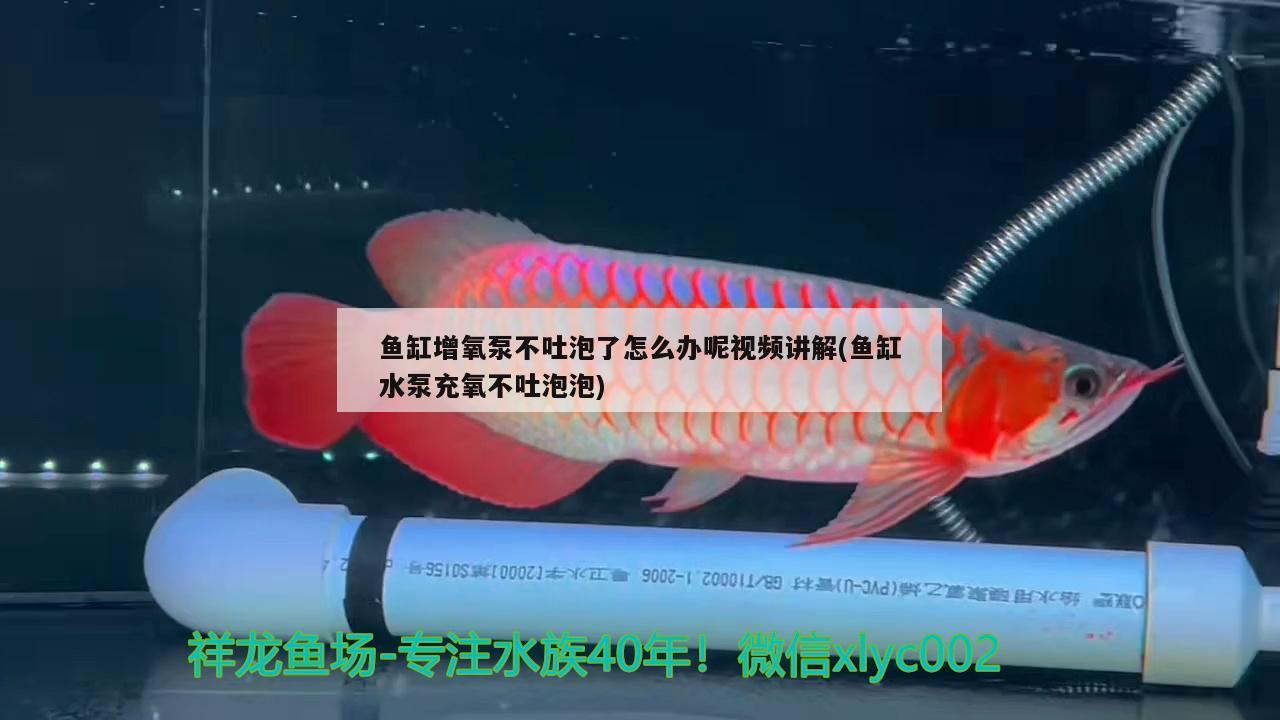 新野縣大從觀賞魚店