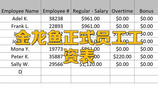 金龍魚正式員工的薪資待遇如何？
