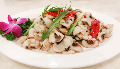 招財魚是冷水魚還是熱帶魚？全面解析招財魚的飼養環境，招財魚是冷水魚還是熱帶魚？飼養環境全解析