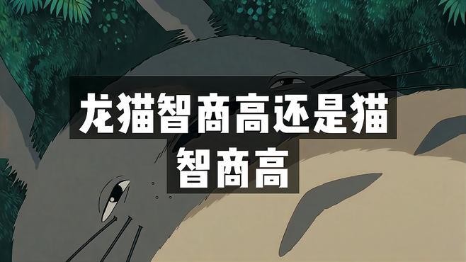 龍貓和貓咪哪個更容易訓練？