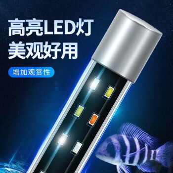 魚缸與家具風格的搭配技巧魚缸與家具風格的搭配技巧：如何選擇帶柜子的魚缸