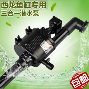 養龍魚用什么水：養龍魚需要了解龍魚對水質的具體要求