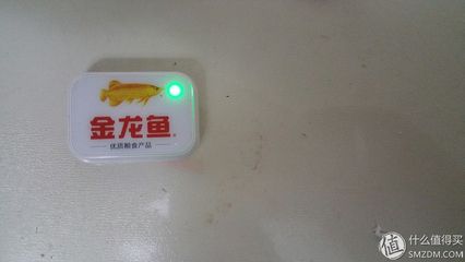 金龍魚(yú)什么時(shí)間開(kāi)關(guān)燈好【金龍魚(yú)什么時(shí)候開(kāi)關(guān)燈好】