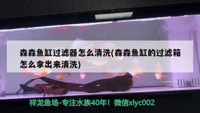 森森魚缸的過濾箱怎么拿出來清洗：森森魚缸的過濾箱怎么清洗