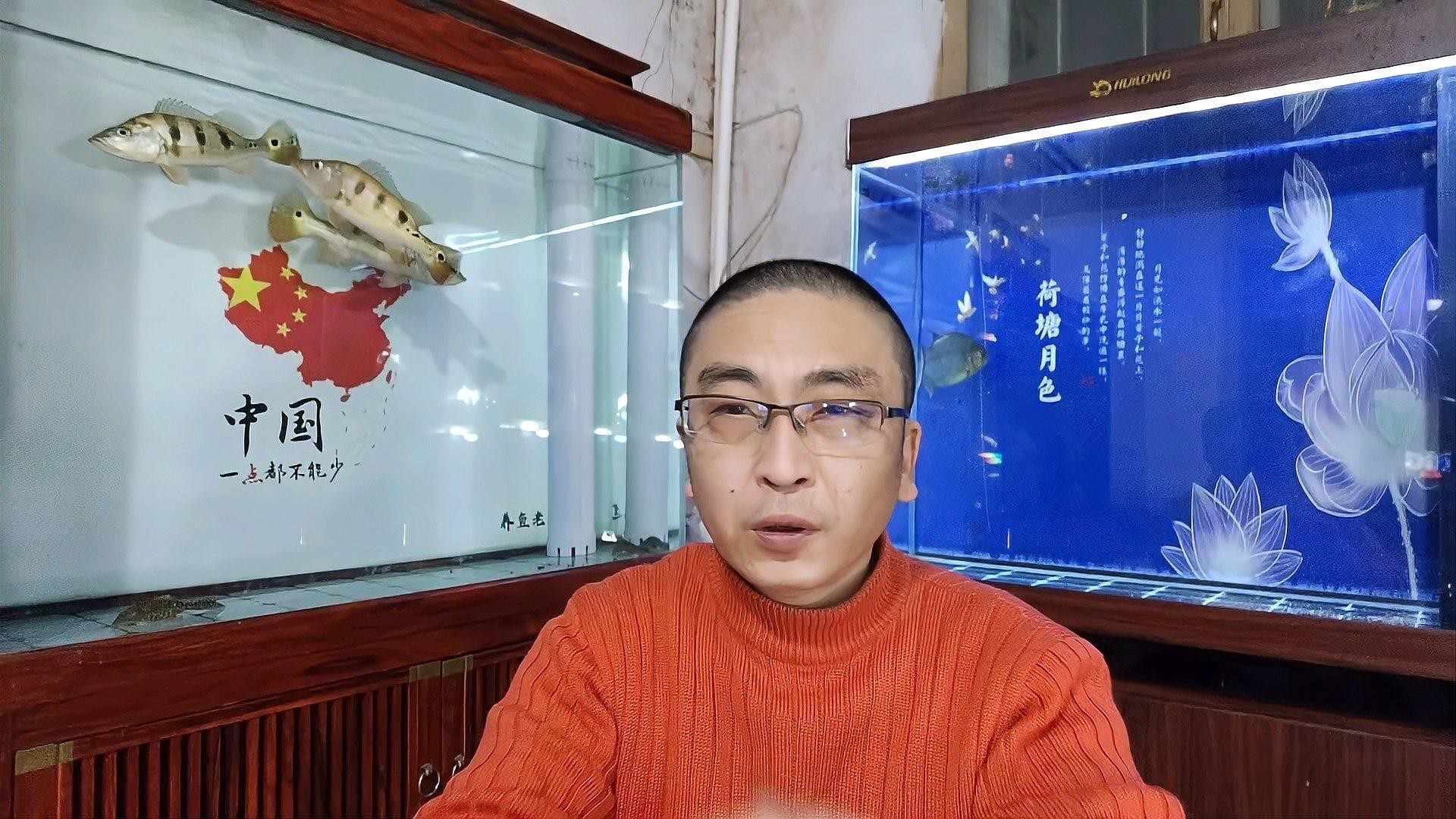 1.2米魚缸養幾條銀龍魚好