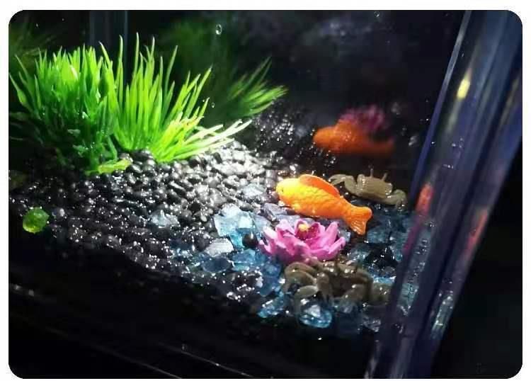 狗頭魚魚缸背景設置建議：關于狗頭魚魚缸背景設置的建議