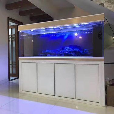海洋風格魚缸設(shè)計：海洋風格的魚缸設(shè)計