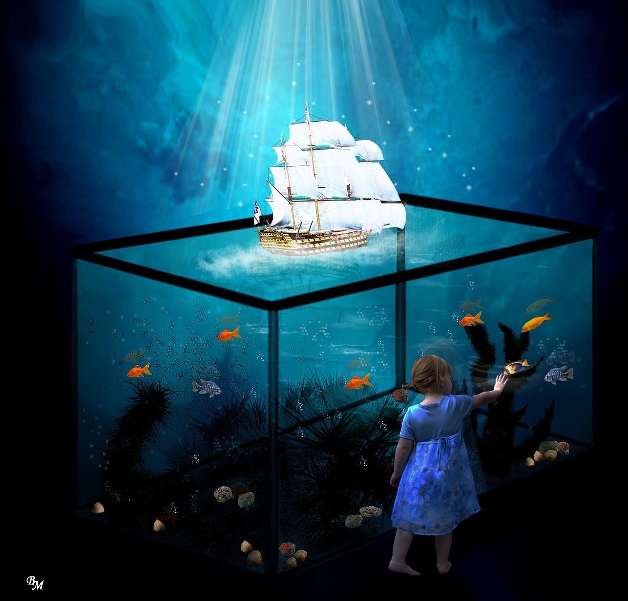 郴州市藍天水族商行 （郴州市藍天水族商行電話）