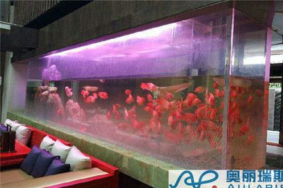 魚缸定制服務公司：固安縣柳泉鎮梓王魚缸銷售部提供魚缸定制服務的企業