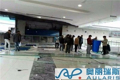 魚缸定制服務公司：固安縣柳泉鎮梓王魚缸銷售部提供魚缸定制服務的企業