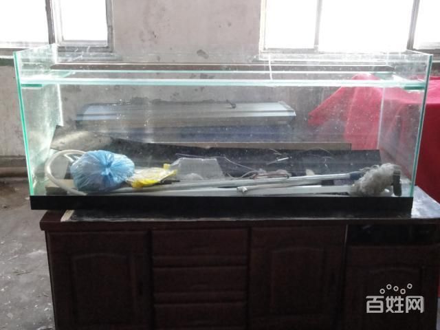 花鳥市場的魚缸養(yǎng)護(hù)與水質(zhì)管理養(yǎng)護(hù)技巧花鳥市場的養(yǎng)護(hù)技巧：如何在花鳥市場選擇合適的魚缸