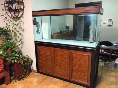 森森魚缸好還是彩蝶魚缸好：森森魚缸與彩蝶魚缸價格對比