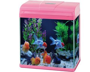 普菲特魚缸怎么樣：普菲特魚缸與其他品牌對(duì)比,