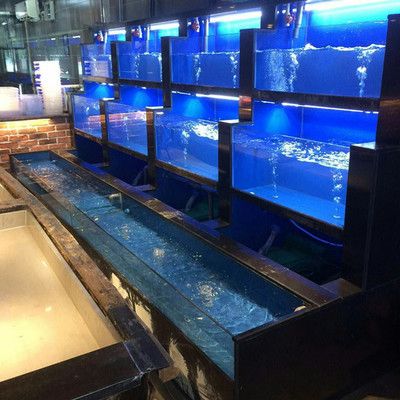 魚缸水循環系統的優缺點：如何選擇合適的魚缸外濾