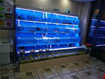 魚缸水循環系統的優缺點：如何選擇合適的魚缸外濾