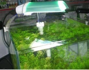 如何選擇合適的魚缸燈具：十大魚缸燈產品上榜十大魚缸燈產品上榜十大魚缸燈產品排行榜