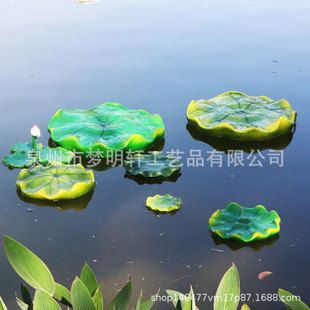 什么樹葉適合放魚缸：荷花玉蘭樹葉水培方法，魚缸水質監測的最佳實踐實踐
