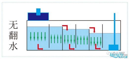 底濾魚(yú)缸水槽清理方法：關(guān)于魚(yú)缸底濾魚(yú)缸水槽清理