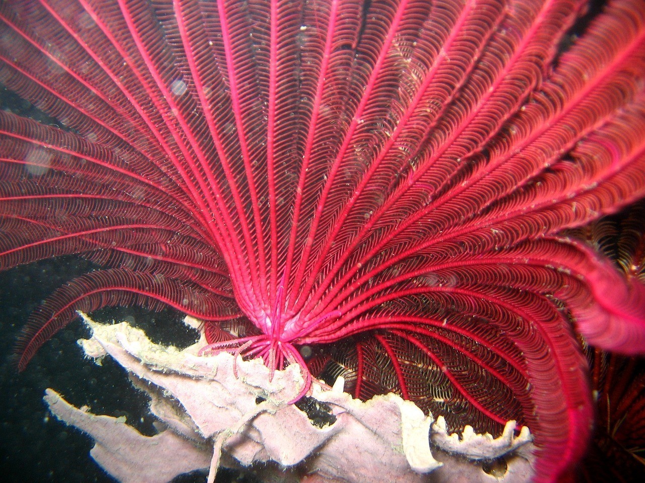 上海市普陀區卓然水族館（上海市普陀區卓然水族館地址）