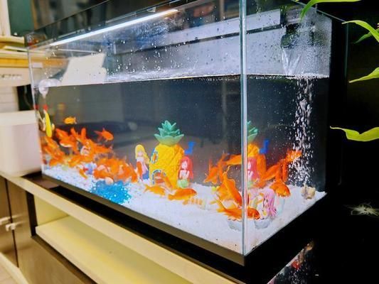 當貝智能魚缸app：當貝智能魚缸app兼容哪些設備當貝魚缸app最新功能介紹