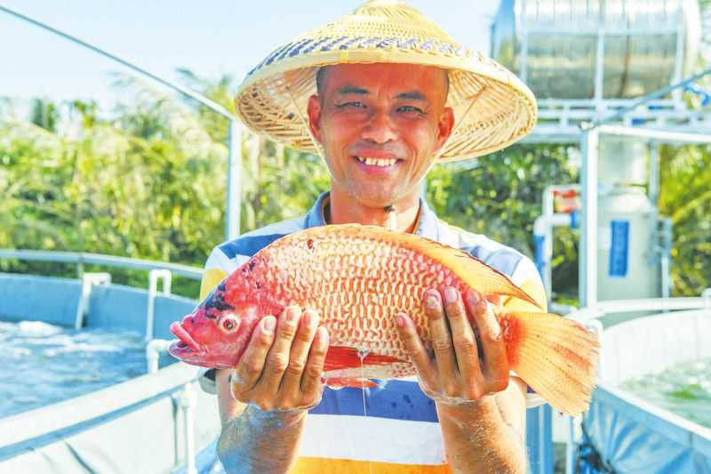 海口哪里養殖龍魚