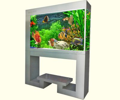 觀海水族魚缸的官網地址：生態魚缸的設計原理
