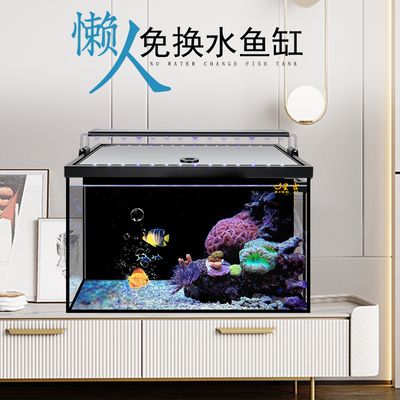 定制魚缸方面有良好口碑的廠家：水族工程的歷史演變：定制魚缸廠家哪家好